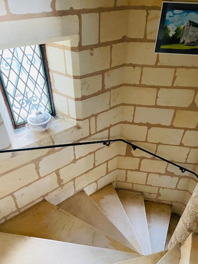 Chateau De Re Le Petit-Pressigny Eksteriør billede