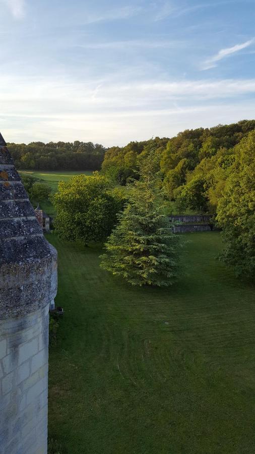 Chateau De Re Le Petit-Pressigny Eksteriør billede